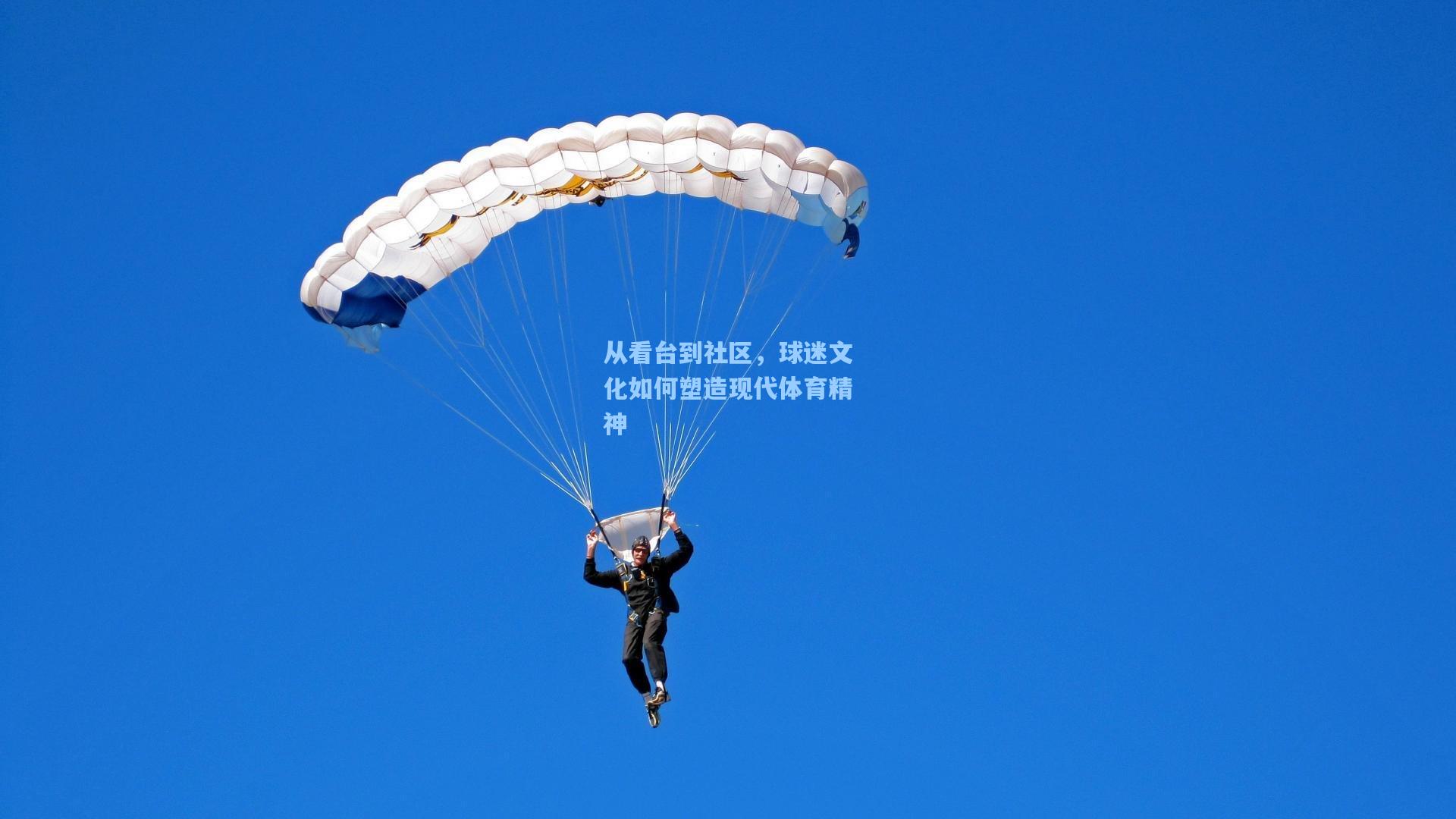 从看台到社区，球迷文化如何塑造现代体育精神
